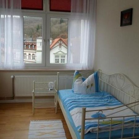 Wohnung In Blankenburg Harz Mit Grill, Garten Und Terrasse 외부 사진
